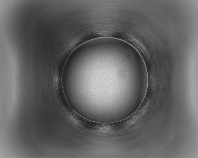 X0000116370113200912091246