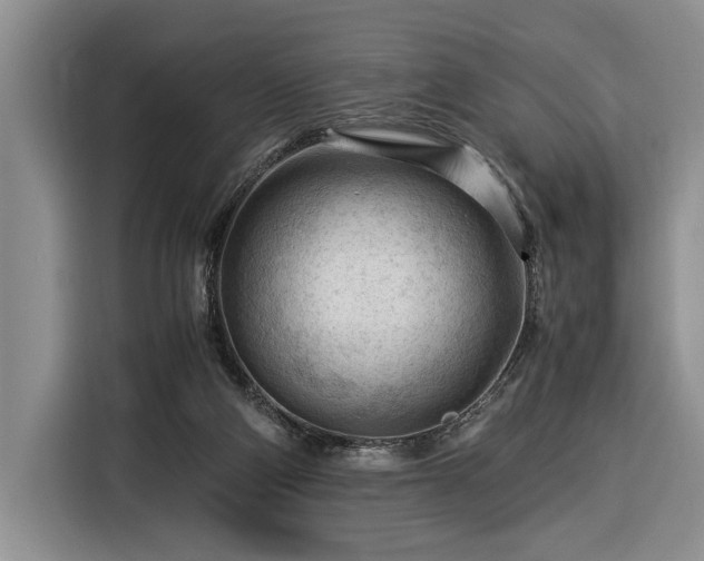 X0000116370114200912091246