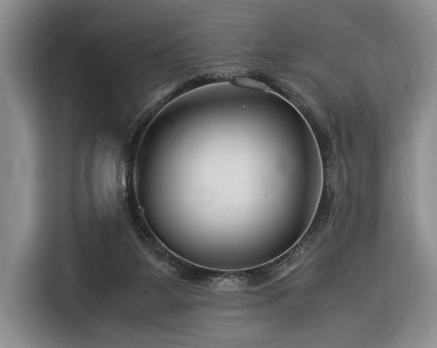 X0000116370115200912091246