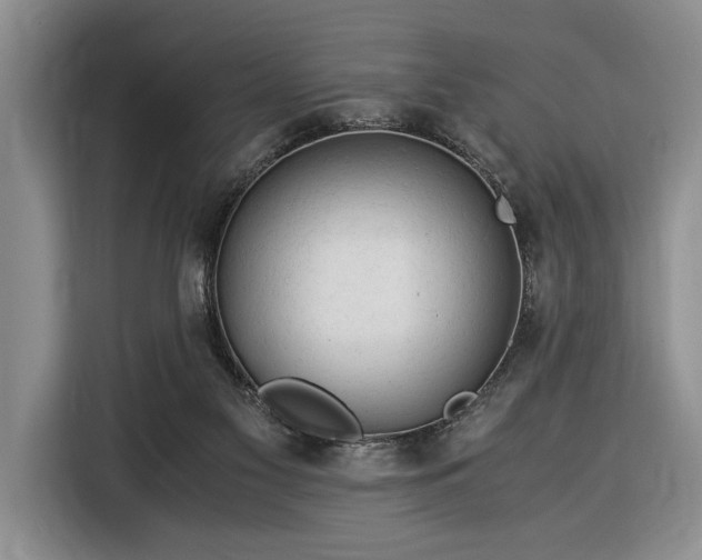 X0000116370117200912091245