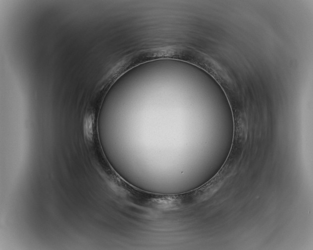 X0000116370118200912091245