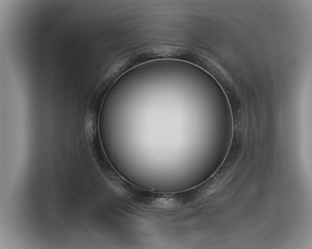 X0000116370119200912091245