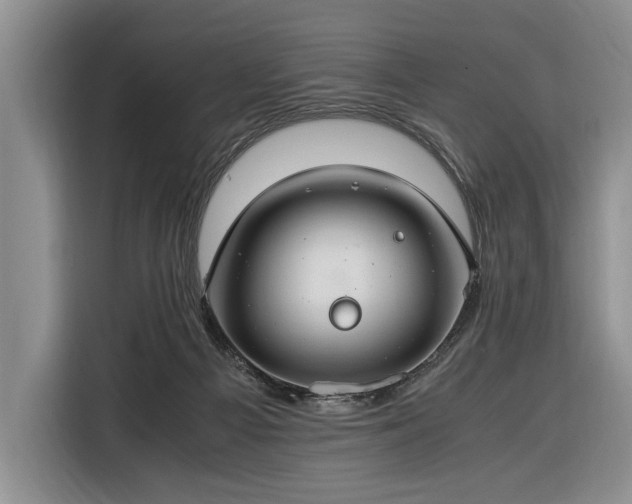 X0000116370121200912091245