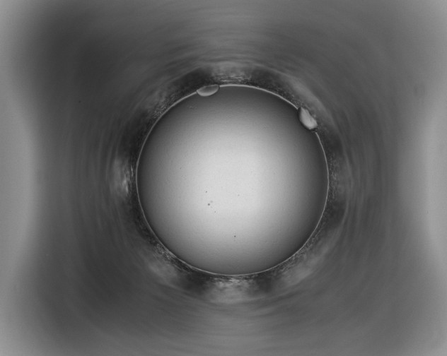 X0000116370125200912091245