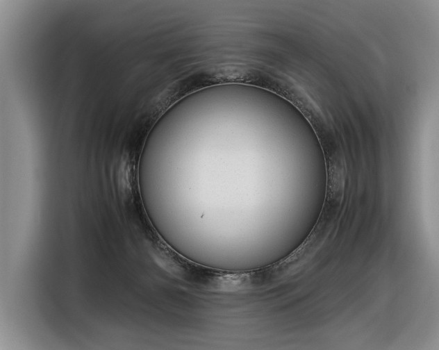 X0000116370126200912091245