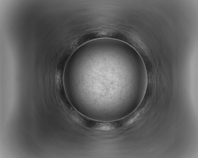 X0000116370127200912091245