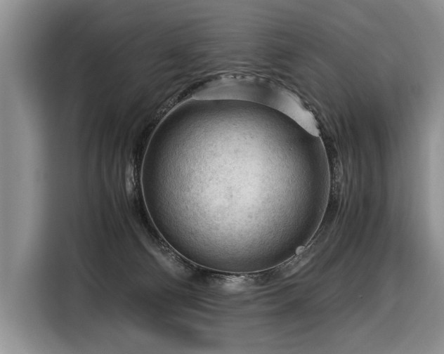 X0000116370130200912091245