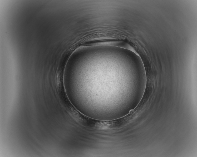 X0000116370131200912091245