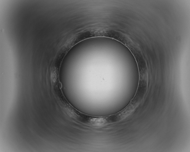 X0000116370133200912091245