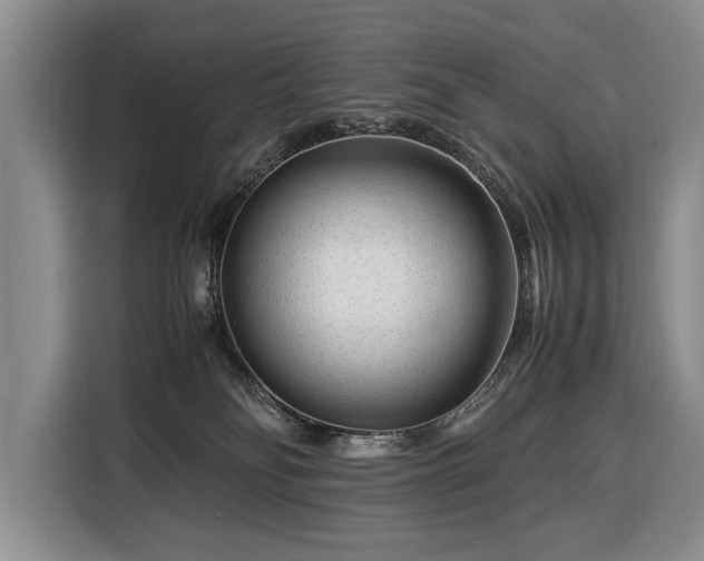 X0000116370134200912091245