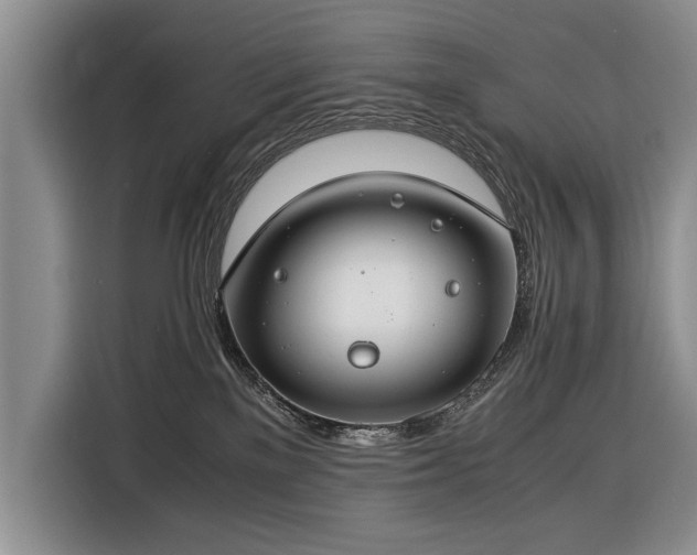 X0000116370137200912091245