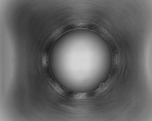 X0000116370138200912091245