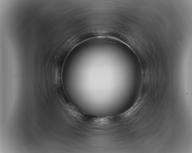 X0000116370140200912091245