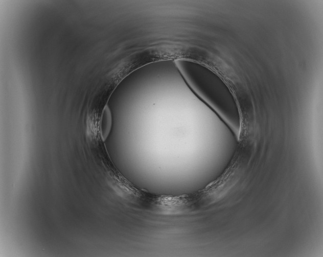 X0000116370141200912091245