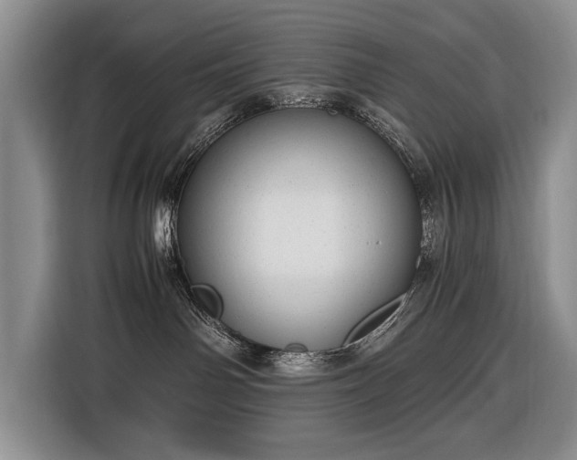 X0000116370142200912091245