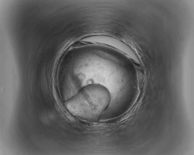 X0000116370145200912091245