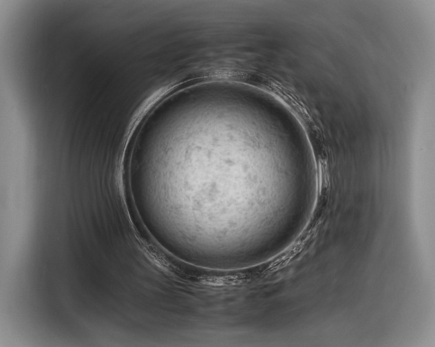 X0000116370147200912091245