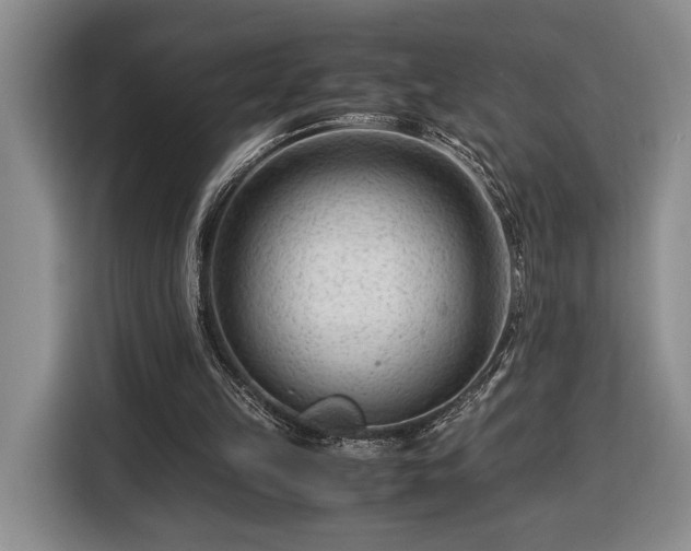 X0000116370149200912091245