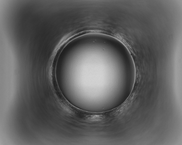 X0000116370151200912091245