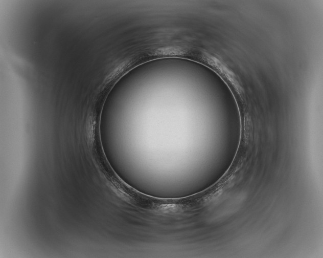 X0000116370153200912091245