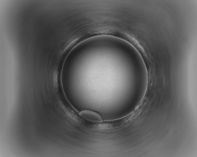 X0000116370154200912091245