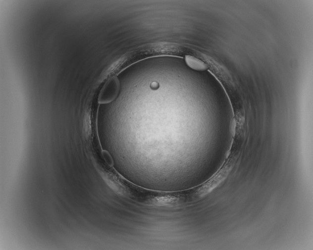 X0000116370158200912091245