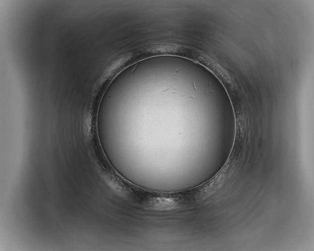 X0000116370159200912091245