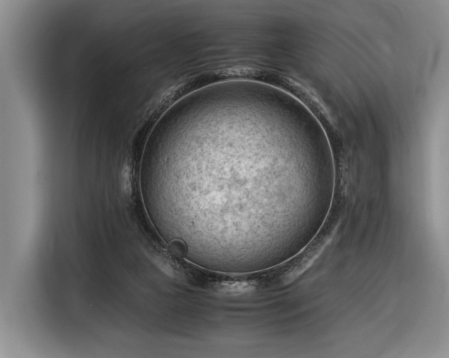 X0000116370161200912091245