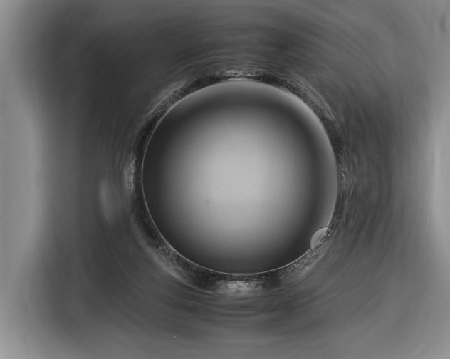 X0000116370163200912091245