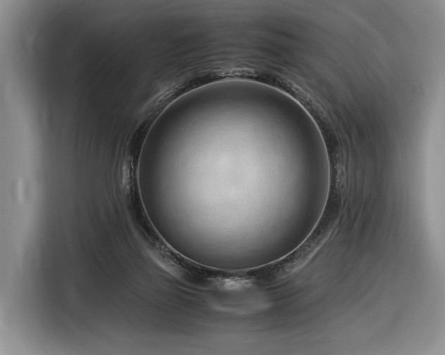 X0000116370165200912091245