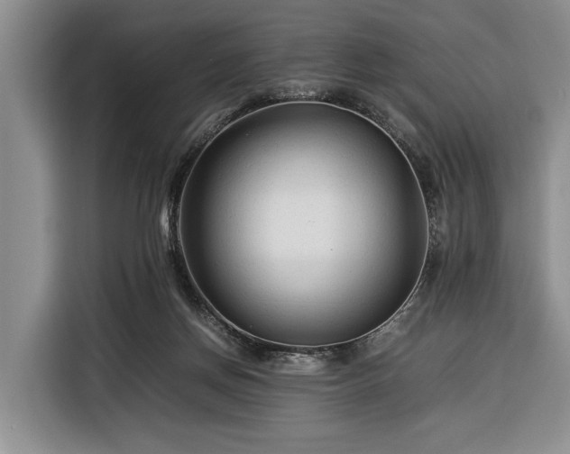 X0000116370166200912091245