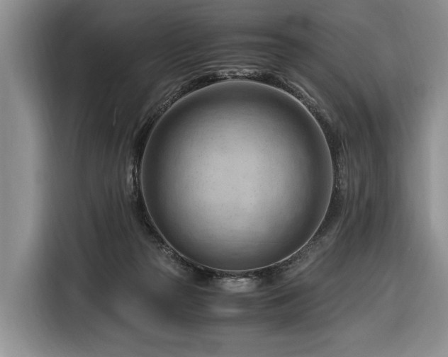 X0000116370169200912091245