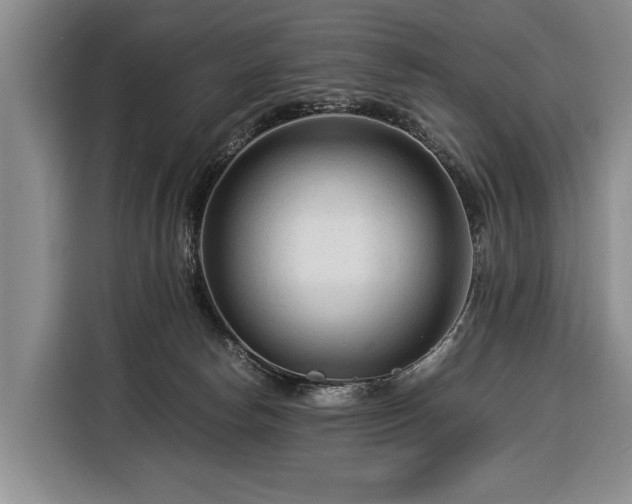 X0000116370178200912091245