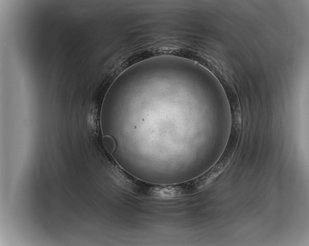 X0000116370181200912091245