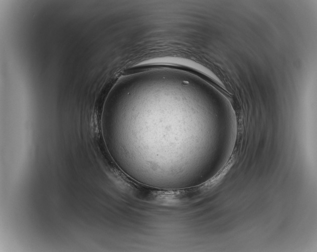 X0000116370182200912091245