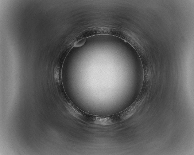 X0000116370185200912091245