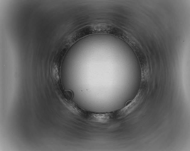 X0000116370187200912091245