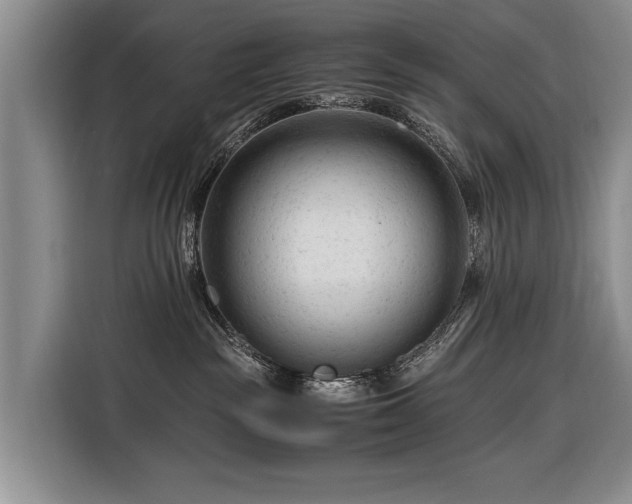 X0000116370189200912091245