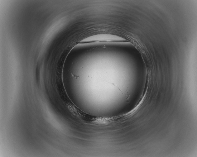 X0000116370190200912091245