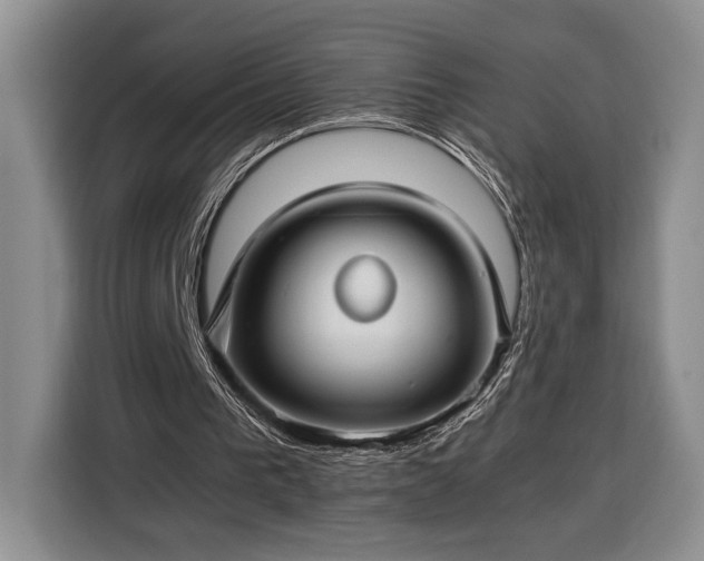 X0000116370193200912091244