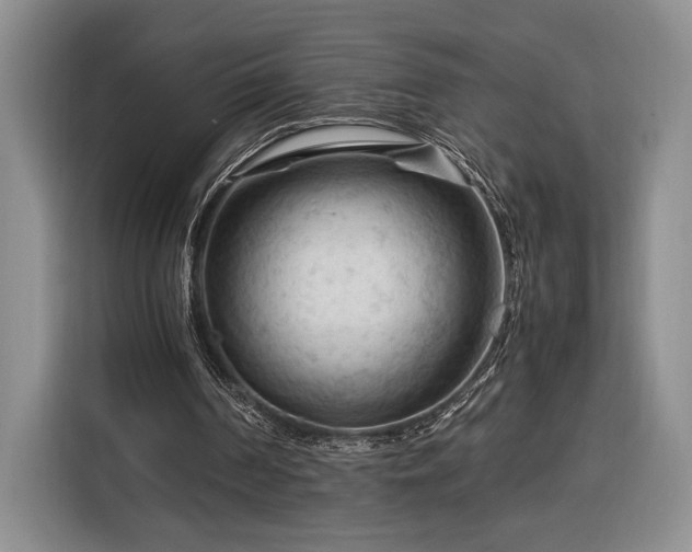 X0000116370194200912091244