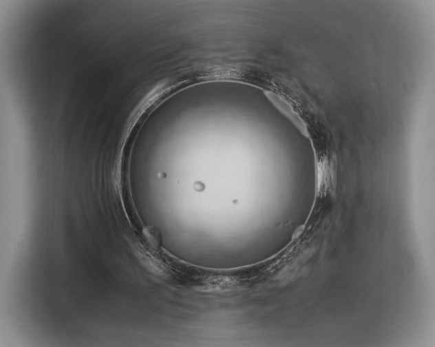 X0000116370195200912091244