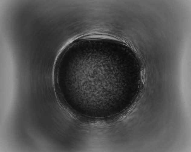 X0000116370196200912091244