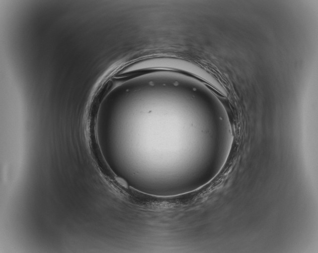 X0000116370197200912091244