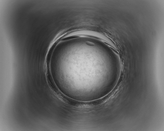 X0000116370198200912091244