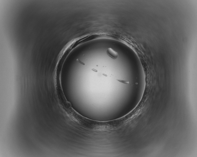 X0000116370200200912091244