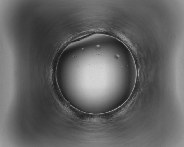 X0000116370201200912091244