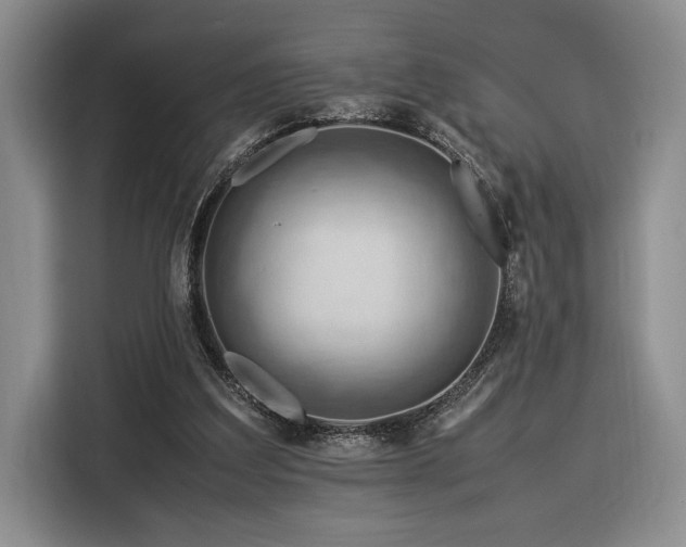 X0000116370203200912091244