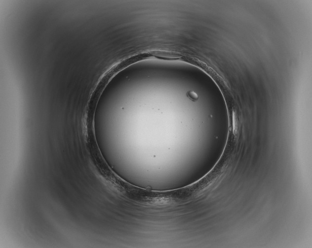 X0000116370204200912091244