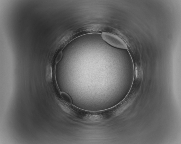 X0000116370205200912091244